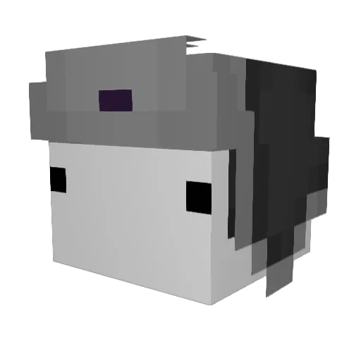 Felipee33 Minecraft avatar head, 3D render