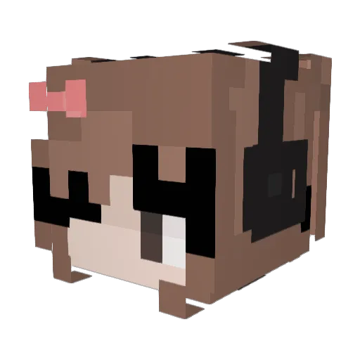 Felipepeladinho9 Minecraft avatar head, 3D render