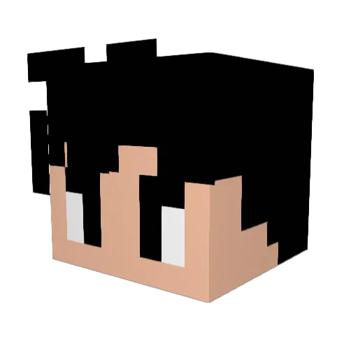 Felipevilla Minecraft avatar head, 3D render