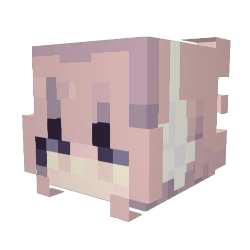 FeliponCraftYT Minecraft avatar head, 3D render