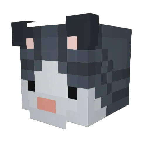 FelisKatze Minecraft avatar head, 3D render