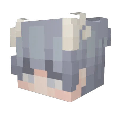 FelitoYAshley Minecraft avatar head, 3D render