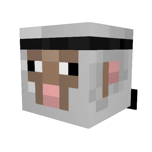 Felitschi Minecraft avatar head, 3D render