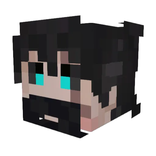 Felium_ Minecraft avatar head, 3D render