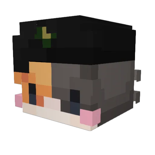 Felivox Minecraft avatar head, 3D render