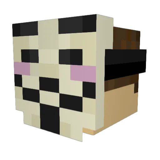 Felix200623 Minecraft avatar head, 3D render