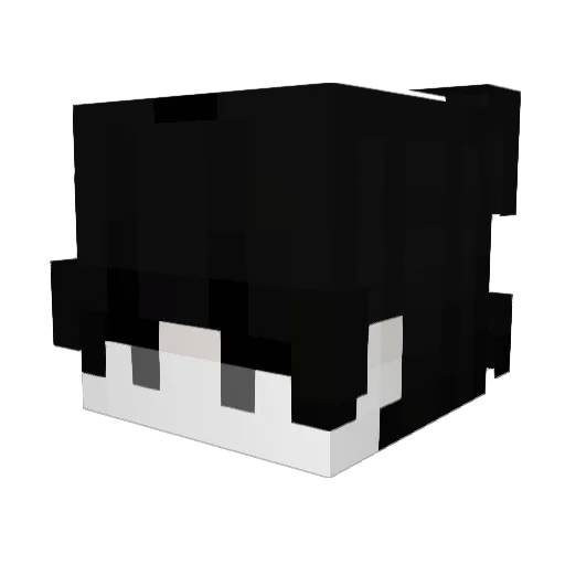 Felix808 Minecraft avatar head, 3D render