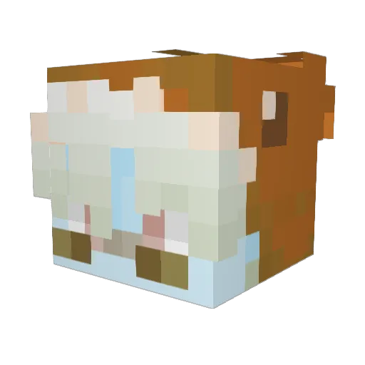 FelixAurelia Minecraft avatar head, 3D render