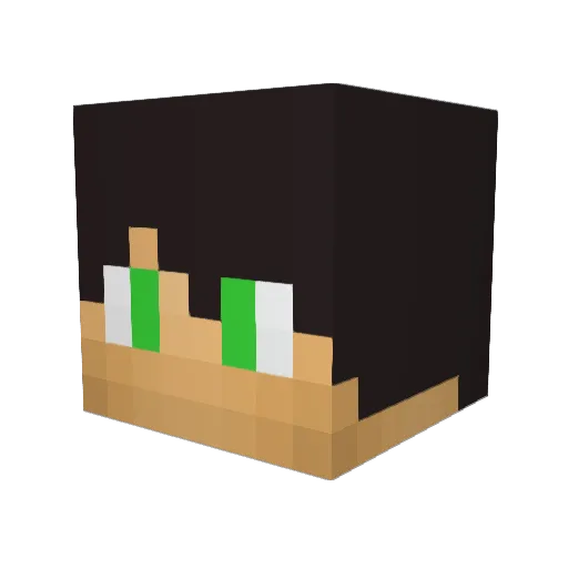 FelixFisch Minecraft avatar head, 3D render