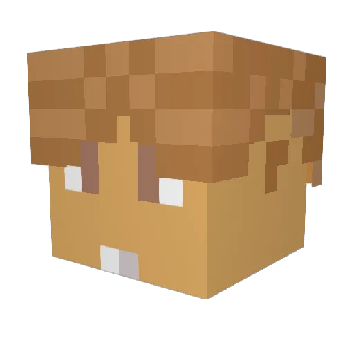 FelixMaster5 Minecraft avatar head, 3D render