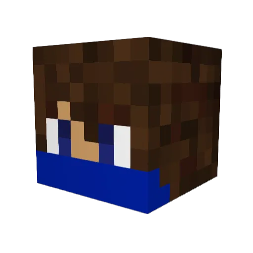FelixTheCat01 Minecraft avatar head, 3D render