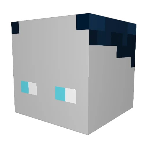 Felix_005 Minecraft avatar head, 3D render