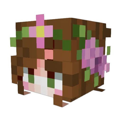 Felix_WC Minecraft avatar head, 3D render