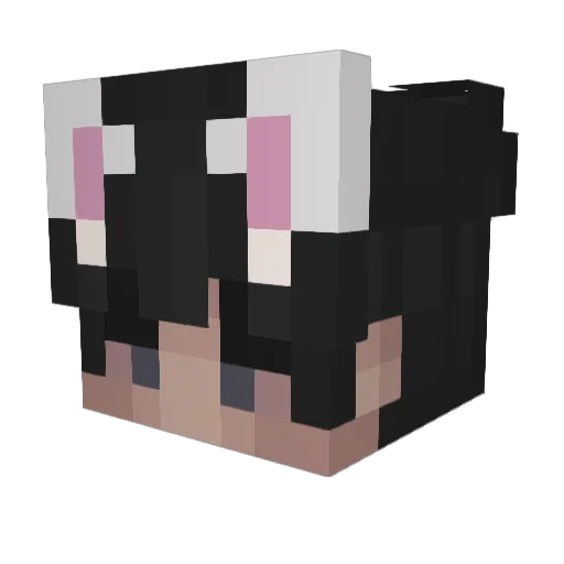 Felixmax_ Minecraft avatar head, 3D render