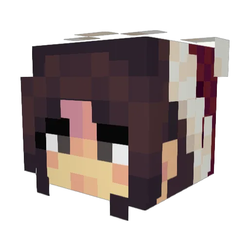 FelizNaviDog Minecraft avatar head, 3D render