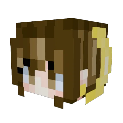 Fell777 Minecraft avatar head, 3D render