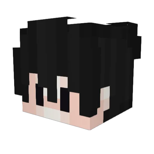FellTz Minecraft avatar head, 3D render