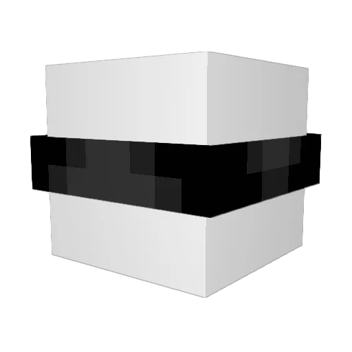 FellWho Minecraft avatar head, 3D render