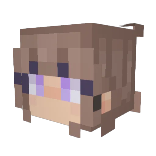 Fellaxe7 Minecraft avatar head, 3D render