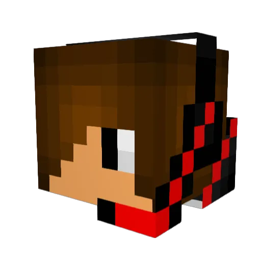 Fellexx Minecraft avatar head, 3D render