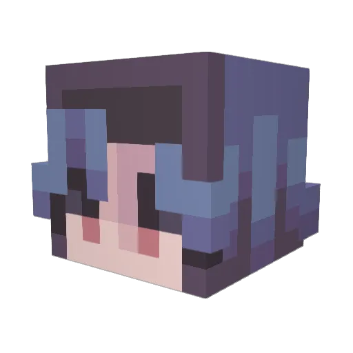 Felliiks Minecraft avatar head, 3D render