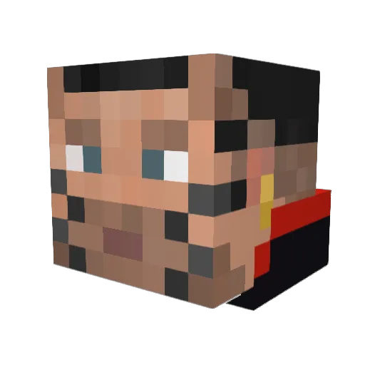 Fellnote54 Minecraft avatar head, 3D render