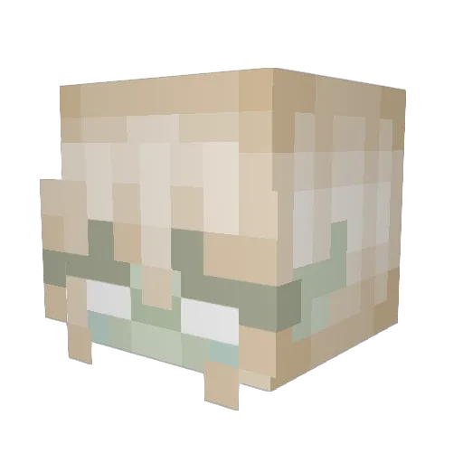 FellowL Minecraft avatar head, 3D render