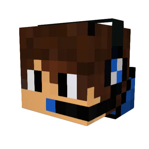 Fellype300 Minecraft avatar head, 3D render