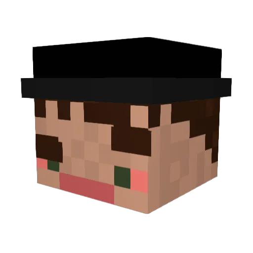 Felo119 Minecraft avatar head, 3D render