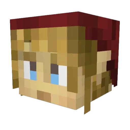 Felon209 Minecraft avatar head, 3D render