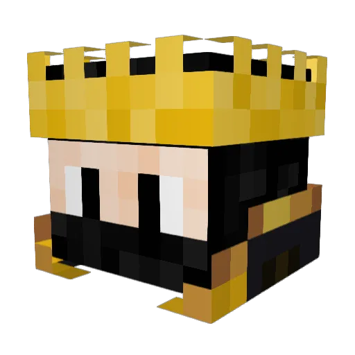 FelonY5 Minecraft avatar head, 3D render