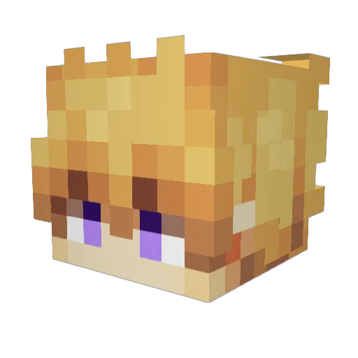 FelpzT Minecraft avatar head, 3D render