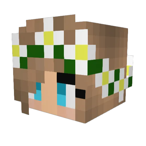 Felske Minecraft avatar head, 3D render