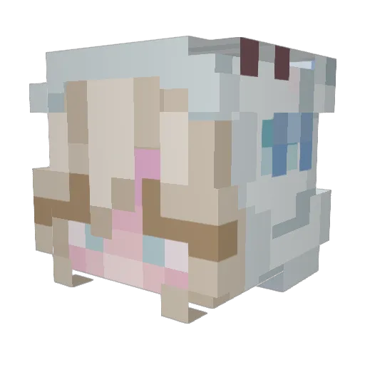Feltysneeze Minecraft avatar head, 3D render
