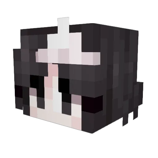 Fely15 Minecraft avatar head, 3D render