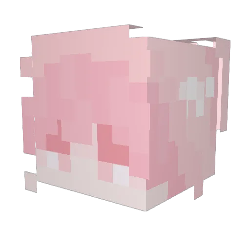 FemCammy Minecraft avatar head, 3D render
