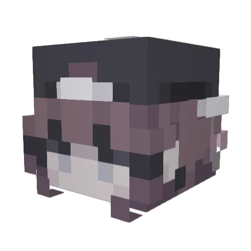 Femboy123 Minecraft avatar head, 3D render