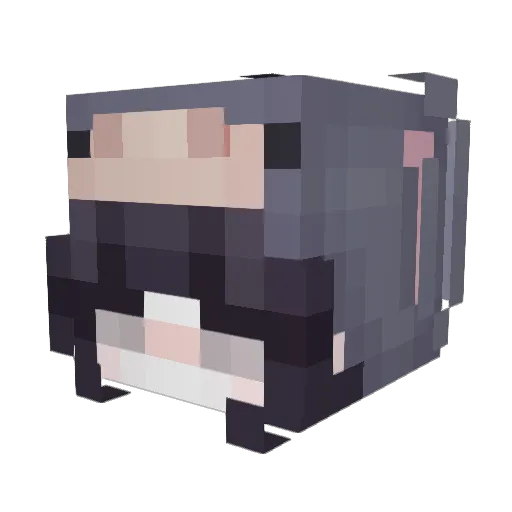 FemboyDaan69 Minecraft avatar head, 3D render