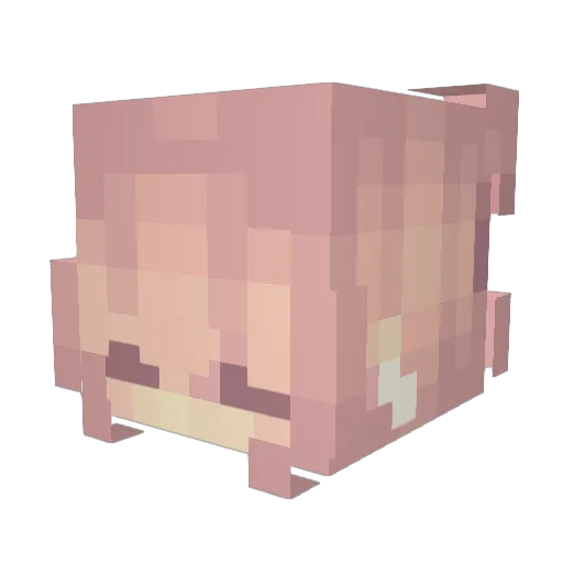 FemboyFekr Minecraft avatar head, 3D render