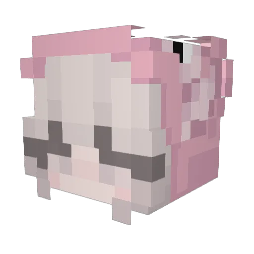 FemboyJT Minecraft avatar head, 3D render