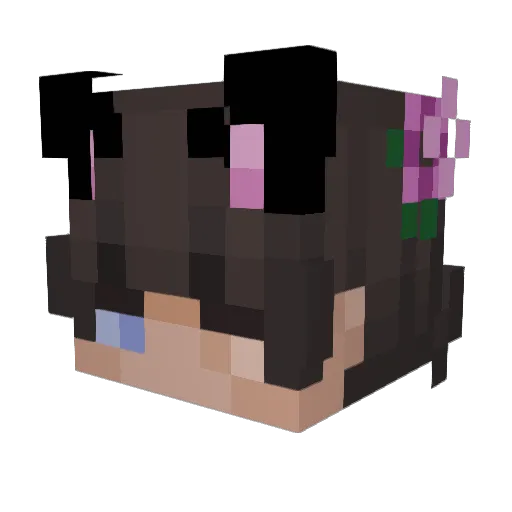 FemboyLoony Minecraft avatar head, 3D render