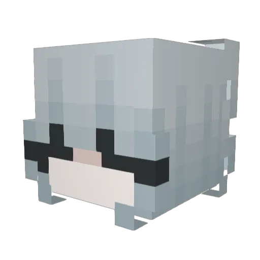 FemboyLord Minecraft avatar head, 3D render
