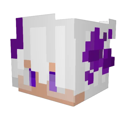 Femboy_Frepes Minecraft avatar head, 3D render