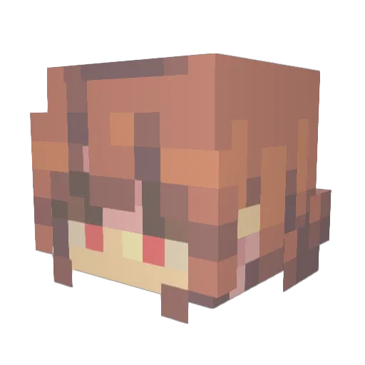 Femboyaoi Minecraft avatar head, 3D render