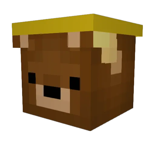 Feminx Minecraft avatar head, 3D render