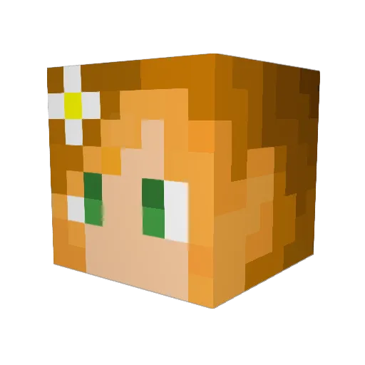 Femke46 Minecraft avatar head, 3D render