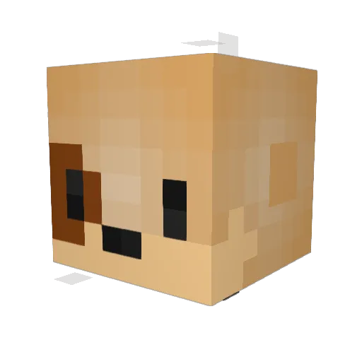 FemmboyFurry Minecraft avatar head, 3D render