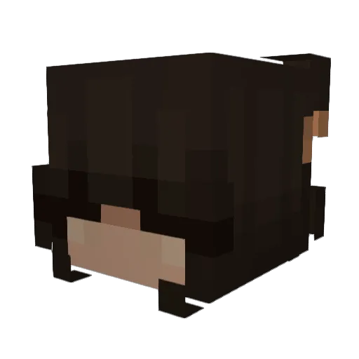 Femole Minecraft avatar head, 3D render