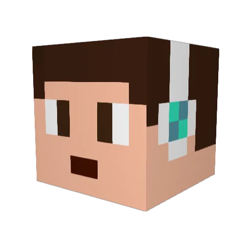 Fen0nick Minecraft avatar head, 3D render