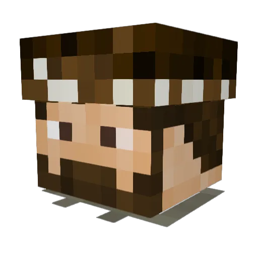 Fen93 Minecraft avatar head, 3D render